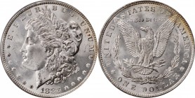 Morgan Silver Dollar

1883 Morgan Silver Dollar. MS-65 (PCGS). OGH.

PCGS# 7142. NGC ID: 254G.