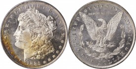 Morgan Silver Dollar

1885-O Morgan Silver Dollar. MS-64 DMPL (PCGS). CAC. OGH.

PCGS# 97163. NGC ID: 254T.