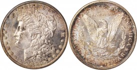 Morgan Silver Dollar

1890-S Morgan Silver Dollar. MS-65 (NGC). OH.

PCGS# 7202. NGC ID: 255F.