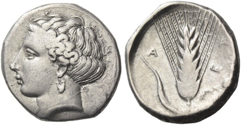 Metapontium. Nomos circa 400-340 BC, AR 7.80 g. Head of Demeter l. Rev. Barley e...
