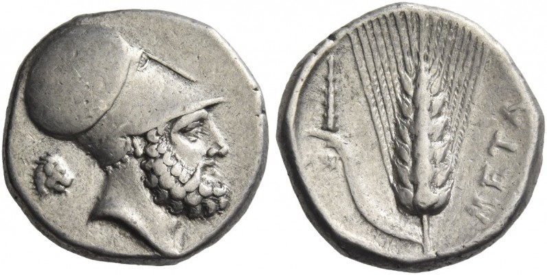 Metapontium. Nomos circa 340-330, AR 7.88 g. Head of Leucippus r., wearing Corin...