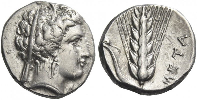 Metapontium. Nomos circa 330-290, AR 7.84 g. Barley-wreathed head of Demeter r. ...