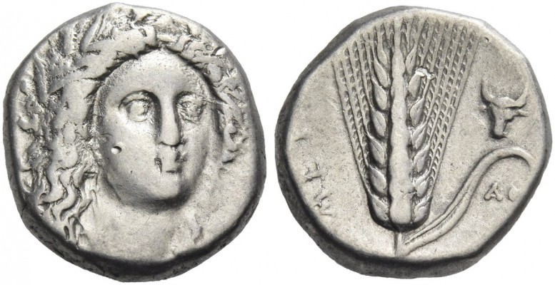 Metapontium. 
Nomos circa 330-290, AR 7.77 g. Head of Demeter, wearing barley w...