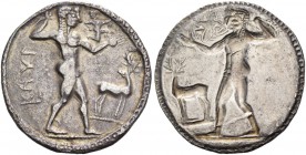 Bruttium, Caulonia. Nomos circa 525-500 BC, AR 7.78 g. Apollo, diademed, walking r., holding laurel branch in upraised r. hand and small running daimo...