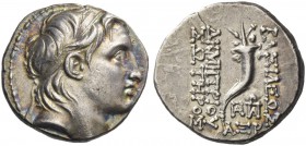 Seleucid Kings, Demetrius I Soter, 162 – 150. Drachm, Antiochia on the Orontes circa 152-151 BC, AR 4.14 g. Diademed head r. Rev. Cornucopiae; below, ...