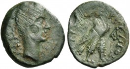 Sparta. Octavian with C. Iulius Eurycles. Bronze circa 31-32 BC, Æ 2.58 g. KAIC Head of Augustus r. Rev. Λ – A, EΠI EYPYKΛEOΣ Eagle standing r. Grunau...