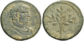 Caria, Alabanda. Caracalla, 198-217. Bronze circa 198-217, Æ 10.09 g. [AVKM] – ANTΩNINOC Laureate, draped and cuirassed bust r. Rev. AΛAB – Α – N – Δ[...