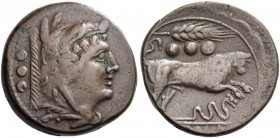 Quadrans, Sicily circa 214-212, Æ 17.69 g. Head of Hercules r., wearing boar’s skin; behind, three pellets. Rev. Bull charging r.; above, corn ear and...