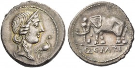 Q. Caecilius Metellus Pius. Denarius 81, AR 4.21 g. Head of Pietas r.; before, stork. Rev. Elephant l.; in exergue, Q C M P I. Babelon Caecilia 43. Sy...