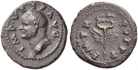 Vespasian, 69 – 79. Quadrans, Roma for Syria (?) 74, Æ 3.06 g. Laureate head l. Rev. Winged caduceus. C 349 var. RIC 1569. RPC 1989.
Rare. Brown tone...
