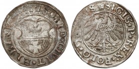 Zygmunt I Stary, Szeląg Elbląg 1531 R1