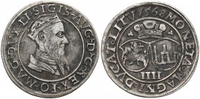 Zygmunt II August, Czworak Wilno 1568 - kółeczka - b.rzadki RRR