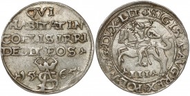 Zygmunt II August, Trojak Tykocin 1565 - 'Szyderczy' - LIT R5