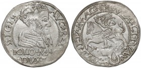 Zygmunt II August, Grosz na stopę polską 1566, Tykocin - JASTRZĘBIEC RRR