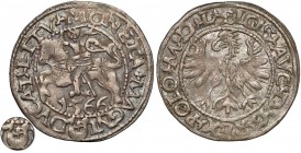 Zygmunt II August, Półgrosz Tykocin 1566 - MAŁY Jastrzębiec - b.rzadki R6