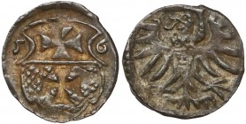 Zygmunt II August, Denar Elbląg 1556 R3