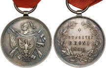 Medal Towarzysz Broni 1863/4 - dla uczestników Powstania styczniowego