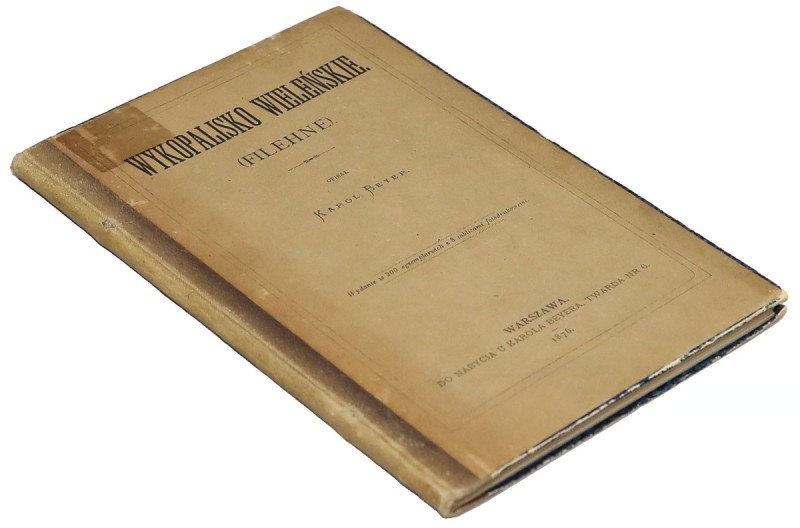 Wykopalisko Wieleńskie, K. Beyer 1876 Rzadka pozycja wydana w nakładzie tylko 20...