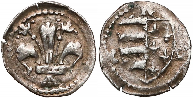 Węgry, Ludwik Węgierski (1342-1382), Denar Ładna moneta władcy będące również kr...