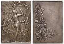 France, Plaquette - Tribute to Medalists 1891