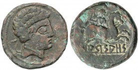 CELTIBERIAN COINS
As. 120-80 a.C. ARSAOS (Zona de NAVARRA). Anv.: Cabeza masculina a derecha, arado y (delfín). Rev.: Jinete con dardo a derecha, deb...
