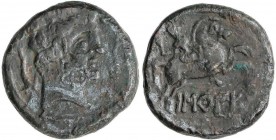 CELTIBERIAN COINS
As. 120-20 a.C. BASCUNES. (PAMPLONA). Anv.: Cabeza barbada a derecha entre delfín y arado. Rev.: Jinete con espada a derecha, debaj...