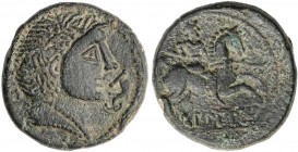 CELTIBERIAN COINS
As. 120-30 a.C. BILBILIS (CALATAYUD, Zaragoza). Anv.: Cabeza masculina a derecha, delante delfín, detrás letra ibérica. Rev.: Jinet...