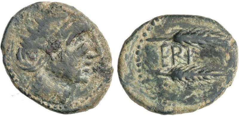 CELTIBERIAN COINS
Semis. 50 a.C. CERIT (JEREZ DE LA FRONTERA, Cádiz). Anv.: Cab...