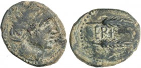 CELTIBERIAN COINS
Semis. 50 a.C. CERIT (JEREZ DE LA FRONTERA, Cádiz). Anv.: Cabeza radiada a derecha. Rev.: Espigas, entre ambas CER+. 5,82 grs. AE. ...