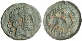 CELTIBERIAN COINS
As. 180-20 a.C. BOLSCAN. (HUESCA). Anv.: Cabeza barbada a derecha, detrás delfín. Rev.: Jinete con lanza a derecha, encima estrella...