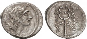 ROMAN COINS: ROMAN REPUBLIC
Denario. 69 a.C. PLAETORIA-5. M. Plaetorius M. f. Cestianus. Anv.: Cabeza de Bonus Eventus joven a derecha, detrás palma....