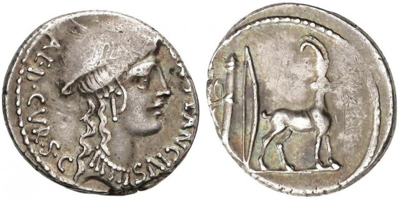 ROMAN COINS: ROMAN REPUBLIC
Denario. 55 a.C. PLANCIA-1. Cn. Plancius. Anv.: Cab...