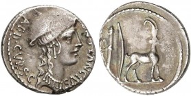 ROMAN COINS: ROMAN REPUBLIC
Denario. 55 a.C. PLANCIA-1. Cn. Plancius. Anv.: Cabeza de Diana Planciana a derecha, alrededor CN. PLANCIVS AED. CVR. S. ...