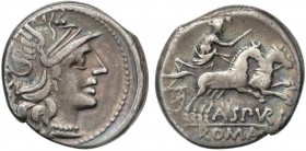 ROMAN COINS: ROMAN REPUBLIC
Denario. 139 a.C. SPURILIA-1. A. Spurilius. 3,89 grs. AR. Pátina oscura e irisada. Cal-1286; Craw-230/1; FFC-1131. MBC+.