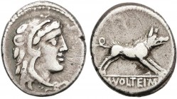 ROMAN COINS: ROMAN REPUBLIC
Denario. 78 a.C. VOLTEIA-2. M. Volteius M. f. Anv.: Cabeza de Hércules con piel de león a derecha. Rev.: Jabalí a derecha...