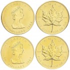 WORLD COINS: CANADA
Lote 2 monedas 50 Dólares. 1987 y 1988. ISABEL II. AU. Fr-B1; KM-167. PROOF.