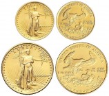 WORLD COINS: UNITED STATES
Serie 2 monedas 5 y 10 Dólares. 1987. 3,43 y 8,48 grs. AU. Fecha en números romanos. Saint Gaudens. Fr-B3, B4; KM-216, 217...