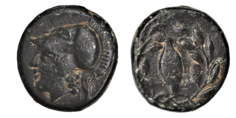 Elaia (BC 340-300) AE 10
ca 350-300 BC. AE, Helmeted head of Athena left / Seed...