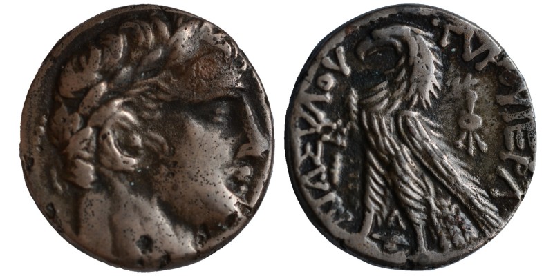Phoenicia, Tyre. Silver Shekel, ca. 126/5 BC-AD 65/6. CY 63 (64/3 BC). Laureate ...