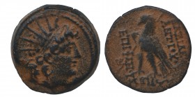 Seleukid Kings, Antiochos VIII (121/0-97/6 BC). 
Æ, Antioch, uncertain date. Radiate and diademed head r. R/ Eagle with closed wings standing r. on t...