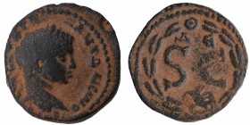 Seleukis and Pieria Antioch on the Orontes, Elagabalus, AD, 218-222 Obv: laureate, head right, small bronze. Head / S C over eagle in wreath. McAlee 7...