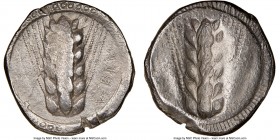 LUCANIA. Metapontum. Ca. 470-440 BC. AR stater (21mm, 7.58 gm, 12h). NGC VF 3/5 - 4/5. META (retrograde), five-grained barley ear; dotted border on ra...