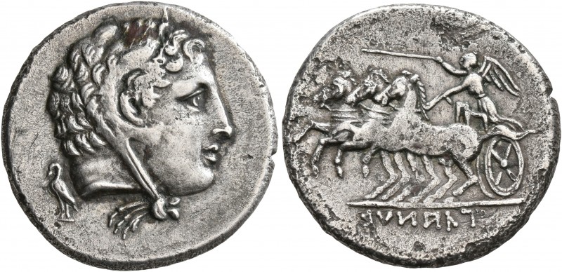 CAMPANIA. Teanum Sidicinum. Circa 265-240 BC. Didrachm or Nomos (Silver, 22 mm, ...