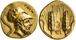 LUCANIA. Metapontion. Time of Pyrrhos of Epeiros, circa 280-279 BC. Tetrobol or Third Stater (Gold, 13 mm, 2.87 g, 6 h), Attic standard. ΛEYKIΠΠ[OΣ] B...