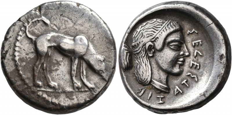 SICILY. Segesta. Circa 475/70-455/50 BC. Didrachm or Nomos (Silver, 21 mm, 8.79 ...