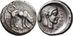 SICILY. Segesta. Circa 475/70-455/50 BC. Didrachm or Nomos (Silver, 21 mm, 8.79 g, 8 h). The river-god Krimisos, in the form of a hunting dog, standin...