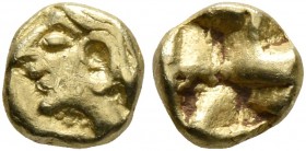 IONIA. Uncertain. Circa 600-550 BC. 1/48 Stater (Electrum, 5 mm, 0.33 g), Phokaic standard. Archaic head of Apollo (?) to left. Rev. Quadripartite inc...