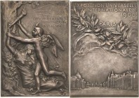 Ausstellungen - Weltausstellungen
1900 - Paris Versilberte Bronzeplakette 1900 (O. Roty) Offizielle Erinnerungsplakette für Kommissare und Preisricht...