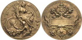 Gartenbau und Landwirtschaft
Antwerpen Vergoldete Silbermedaille 1894 (Ratinsky/Weyns) Preismedaille für die Kategorie Landwirtschaftliche Produkte d...