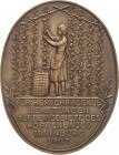 Gartenbau und Landwirtschaft
Mainburg Einseitige Bronzegussmedaille 1927 (C. Poellath, Schrobenhausen) Prämie für hervorragende Leistungen auf dem Ge...